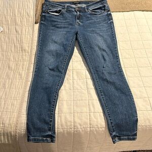 Judy Blue Skinny Fit jeans size 15/32